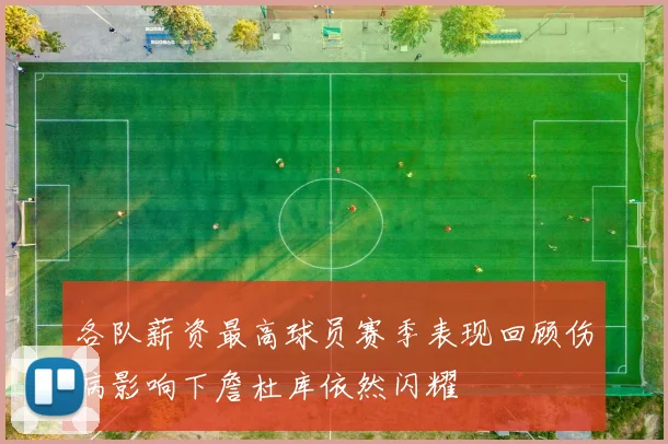 各队薪资最高球员赛季表现回顾伤病影响下詹杜库依然闪耀